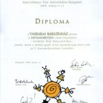 V.gyszemle_diploma